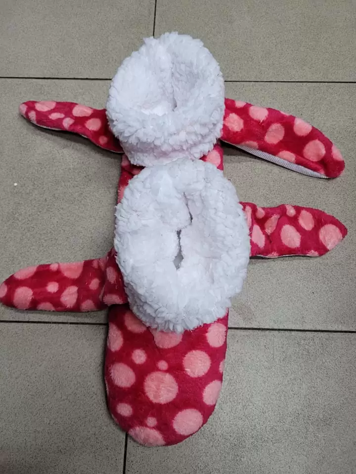 Botosei cu urechiuse - imagine 4