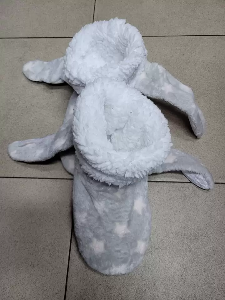 Botosei cu urechiuse - imagine 3